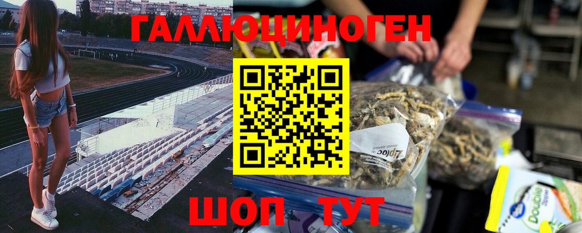 Псилоцибиновые грибы MAGIC MUSHROOMS Губкинский