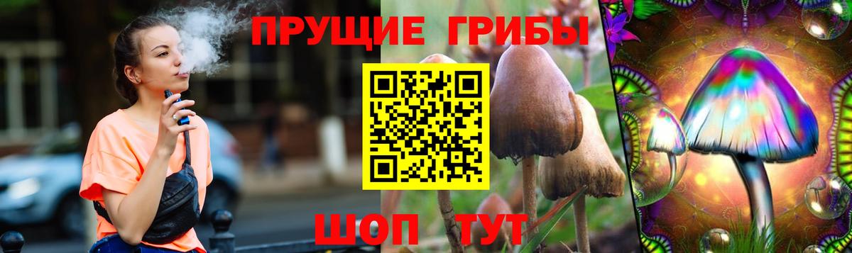 Губкинский  купить закладку  Вход с VPN  Галлюциногенные грибы Psilocybe 