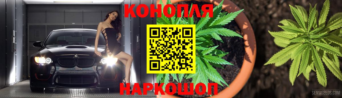 МАРИХУАНА сатива Губкинский
